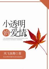 小透明的爱情将的什么