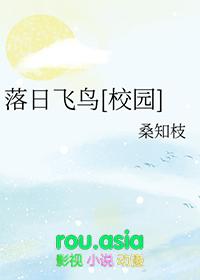落日飞鸟校园免费阅读