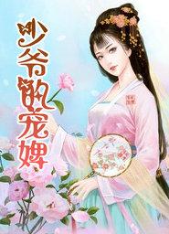 少爷的宠婢好看吗