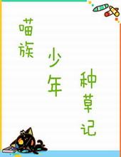 猫类精灵