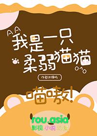我是一只猫正版