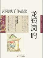 龙翔凤鸣武侠