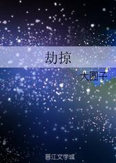 劫掠by大圆子