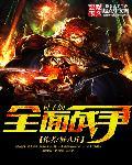 全面战争木