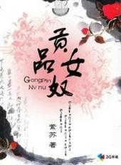 贡品男后讲什么