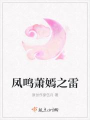 凤鸣苍穹萧七爷全文免费阅读