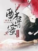 酥骨蜜晋江