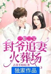 你家三个小崽子又拆家了