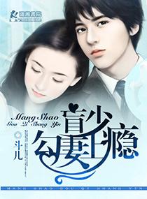 盲少爱妻上瘾免费阅
