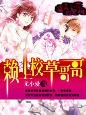 虞美人花药用的功效与作用