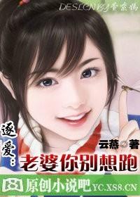 老婆你别跑免费阅读全文