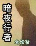 暗夜行者电影在线观看完整版免费