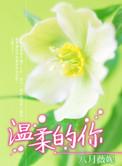 如何守护温柔的你