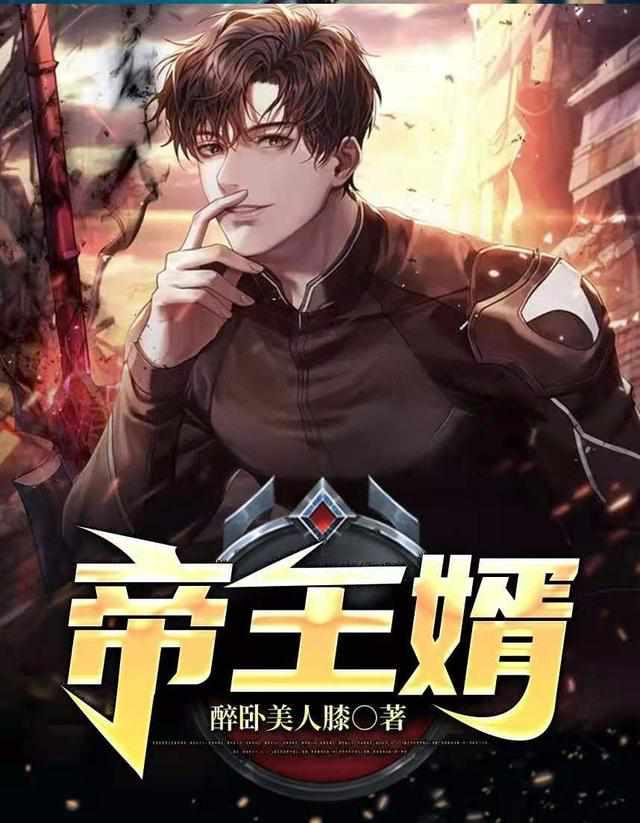 叶辰夏倾城