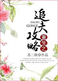 重生之追夫攻略全文