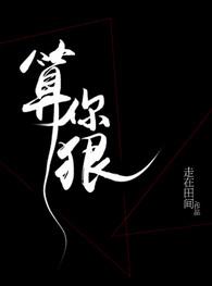 算你狠什么意思