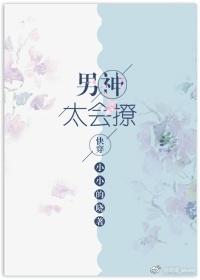 男神太过撩人 作者纷纷和光