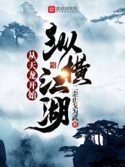 从天龙开始纵横江湖起点