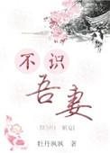 不识吾子奚以知之的句式结构