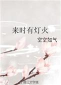 来时有灯火林疆董续