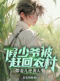 假少爷被赶回农村带妻儿逆袭人生短剧大结局
