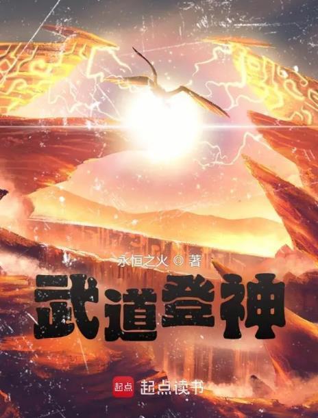武道登神无防盗