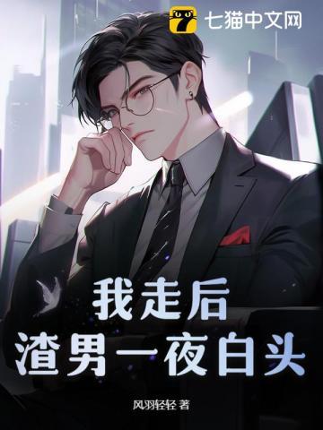 我走后渣男一夜白头短剧