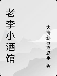 老李小哥儿