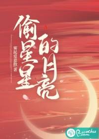 偷星星的月亮歌词含义是什么