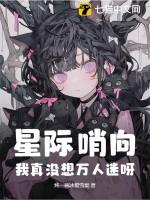 哨向文