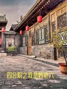 四合院之我是傻柱