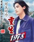 重生1986