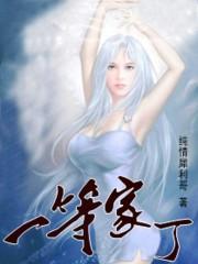 一等家丁动漫