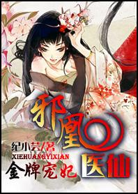 邪王宠妻金牌医妃