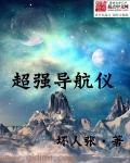 导航仪哪一款