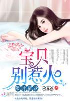 小宝贝别闹全文免费阅读