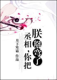 丞相你把朕掰弯了txt
