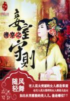 清穿之清妾
