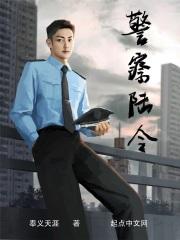 陆凛警察队长