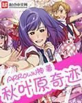 秋叶原之旅新作