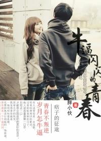 牛b闪闪的青春
