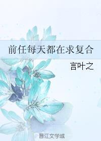 前任都找我复合