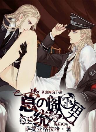 总统阁下的男人完整版