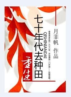 重生七十年代完结