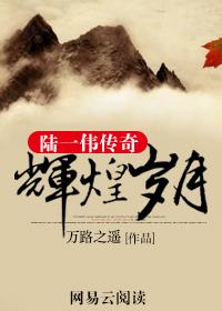 陆一伟传奇全集