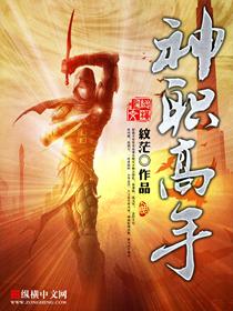 全职高手神之领域是什么意思