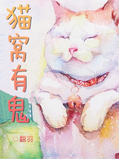 猫窝起静电怎么办