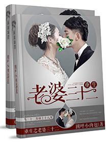 重生之老婆我错了完整