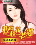我的校花老婆百度百科