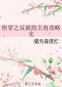 抱一抱作者安向暖
